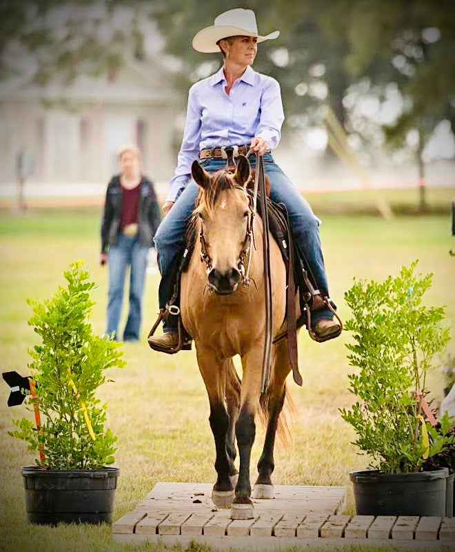 A Journey of Rediscovery: Michelle's Lifelong Passion for Horses