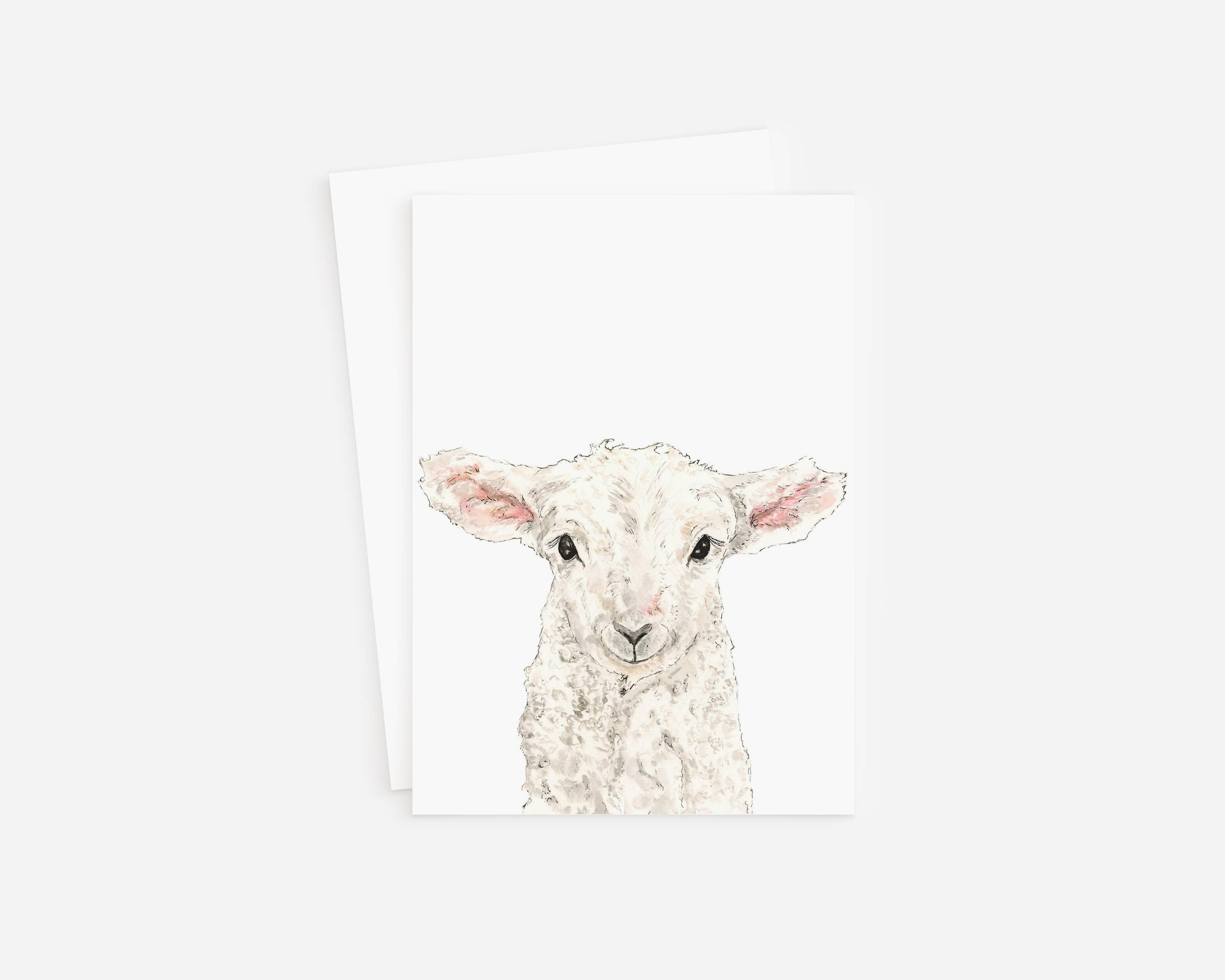 Sheep Blank Greeting Card