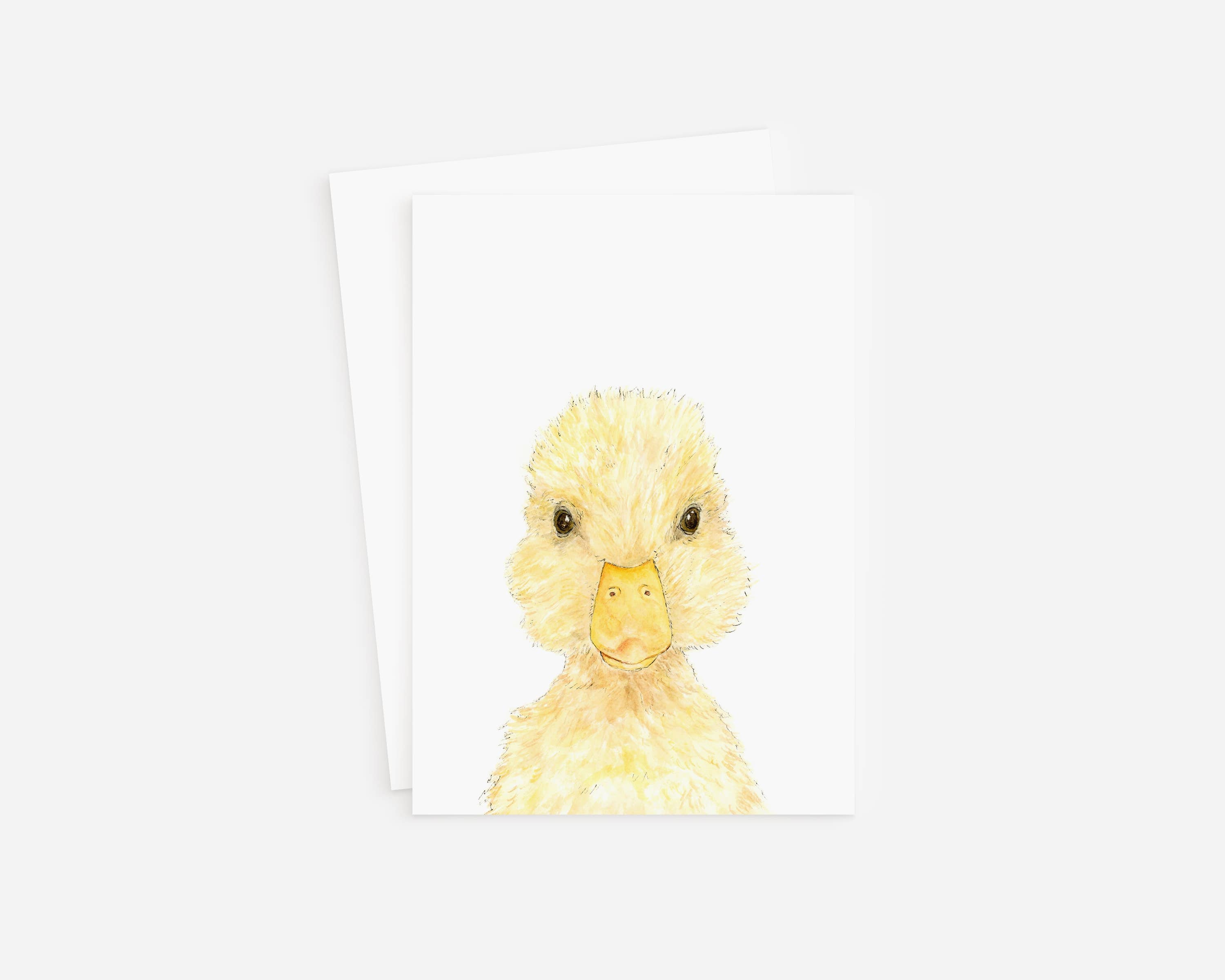 Duck Blank Greeting Card