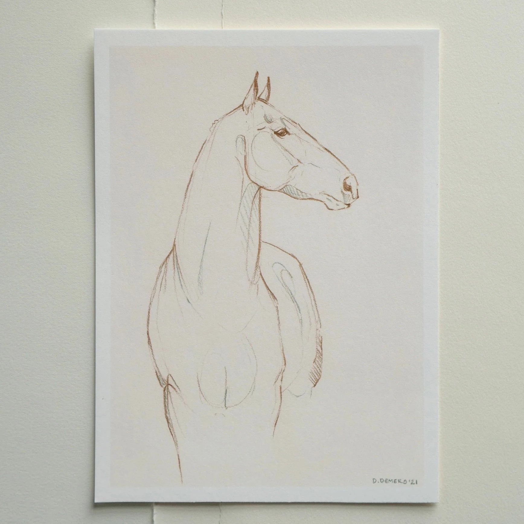 Horse Head Sketch - Lines 11 - Danielle Demers