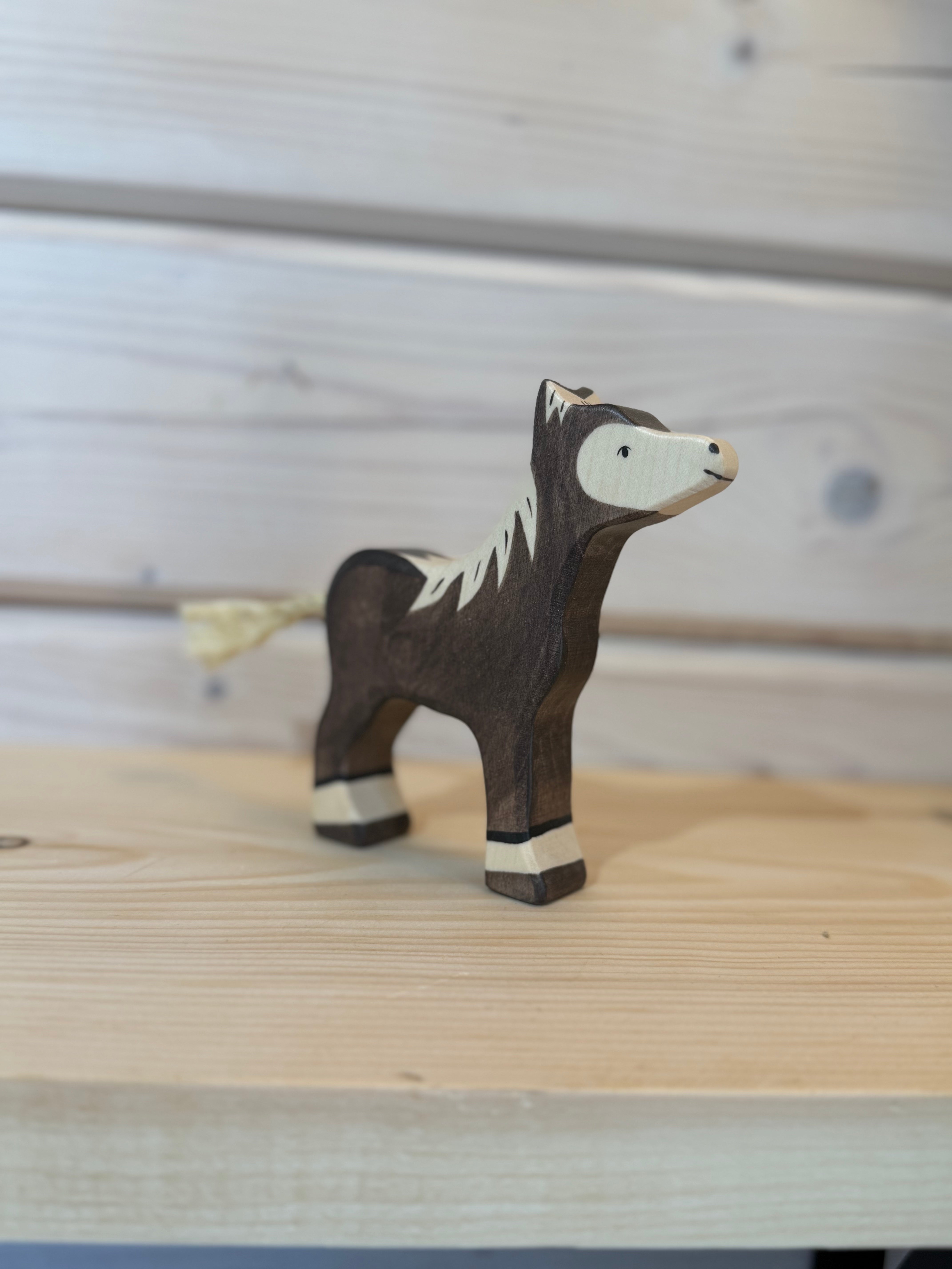Dark Brown Foal