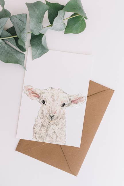 Sheep Blank Greeting Card