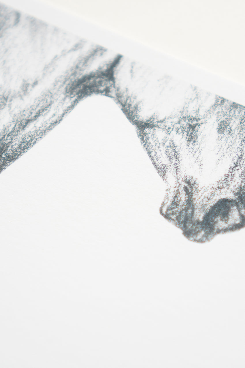 Danielle Demers "Clarity" Horizontal Horse Print on Paper