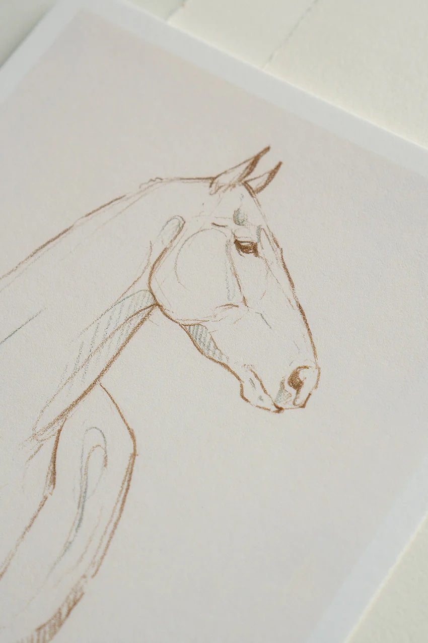 Horse Head Sketch - Lines 11 - Danielle Demers