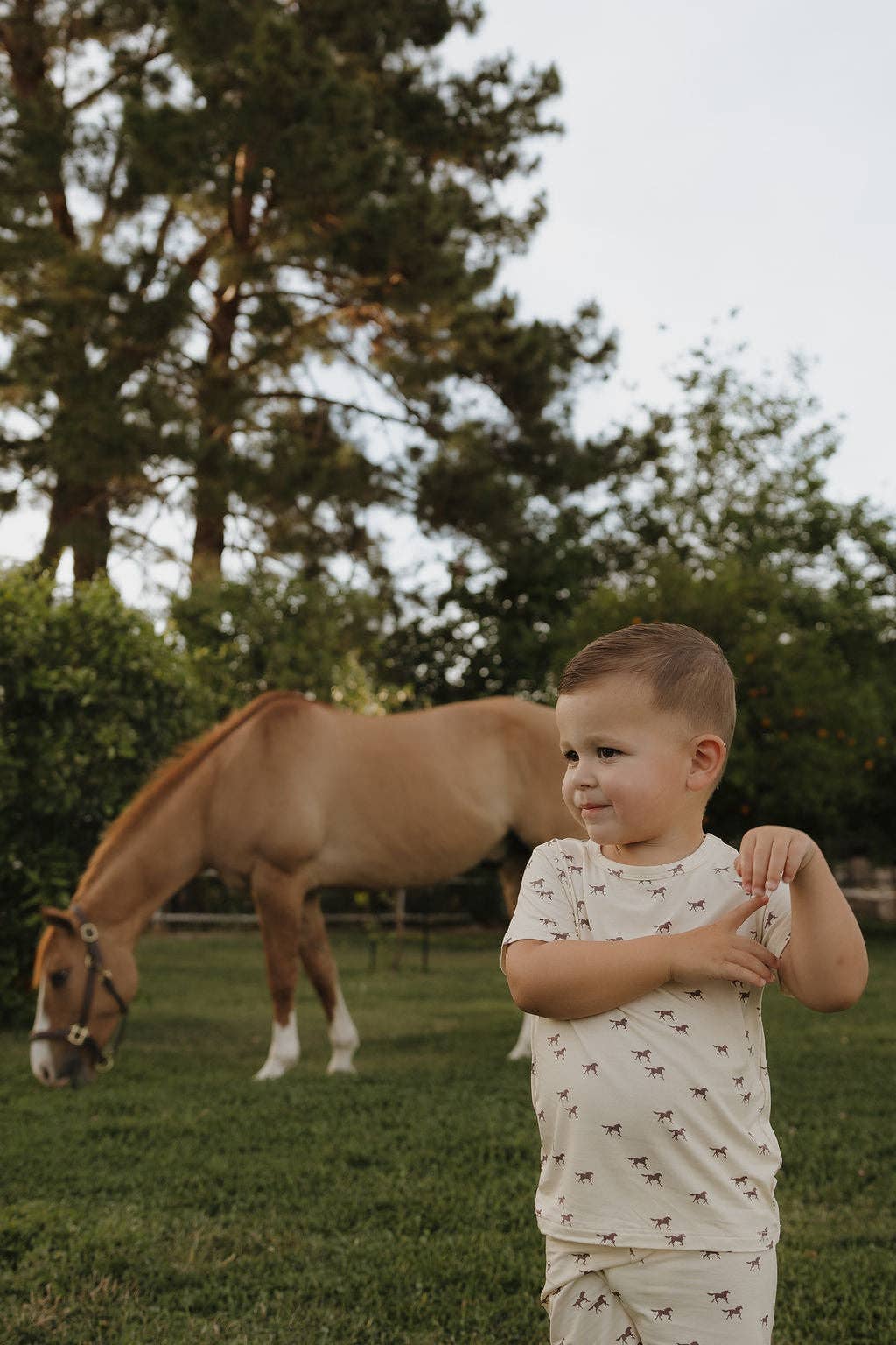 Wild Horse Kids Set