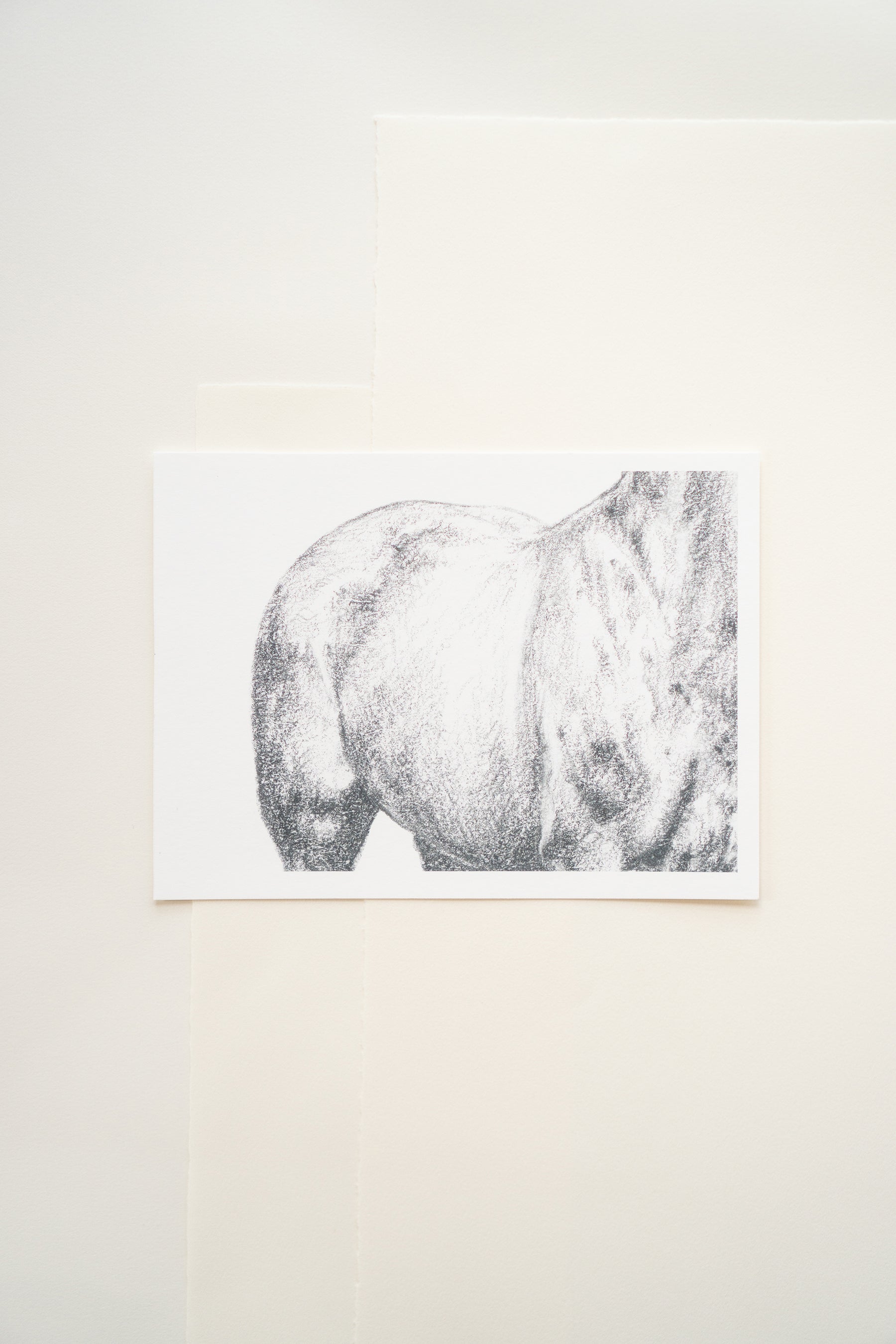 Danielle Demers "Calm" Horizontal Horse Print on Paper