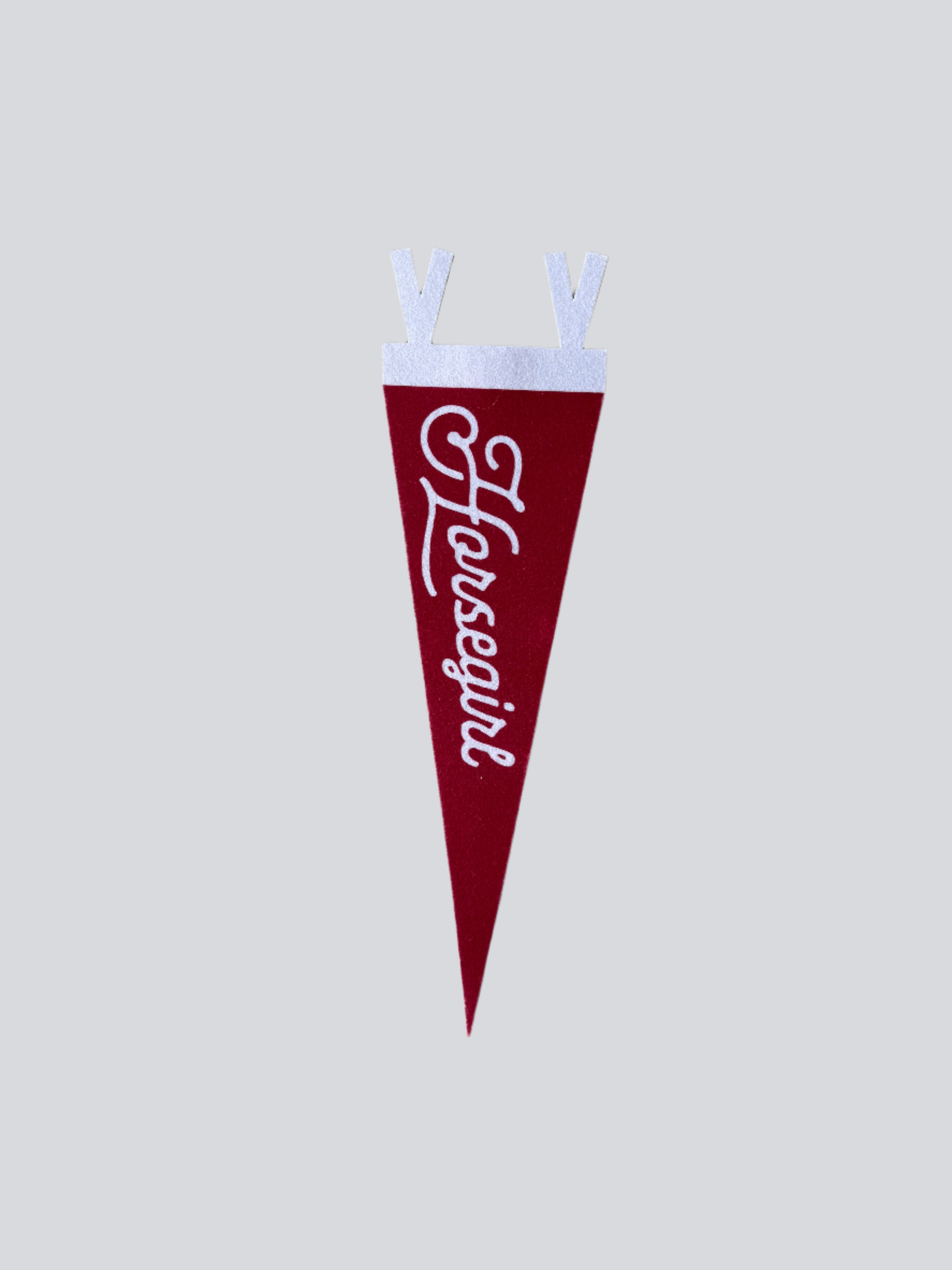 Horse girl pennant