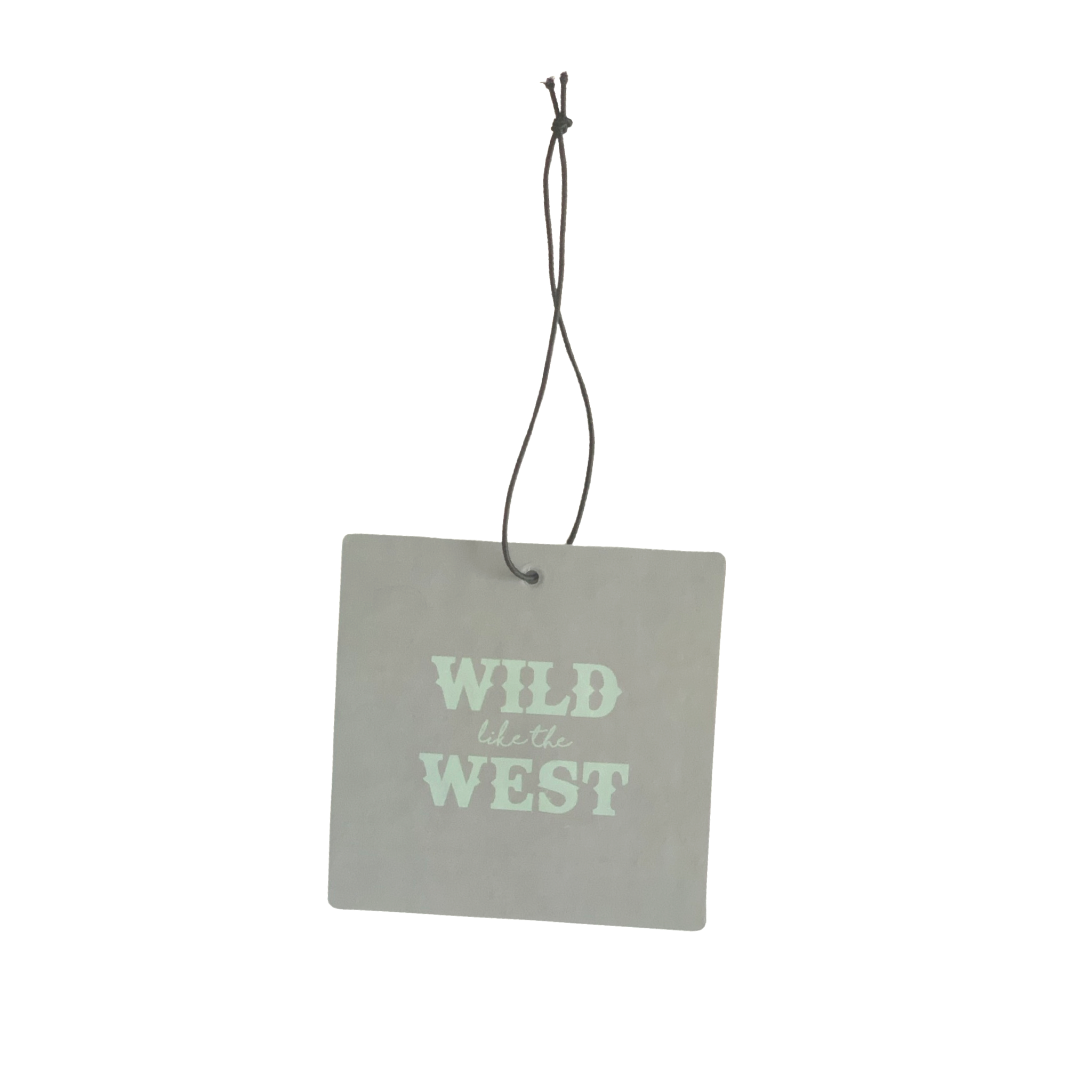 Grey/blue square background. Blue lettering that says "Wild Like the West"